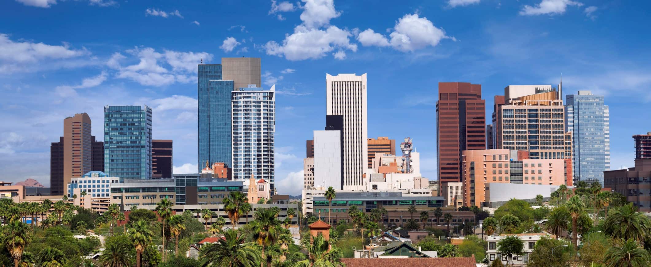 City skyline with modern skyscrapers against a blue sky, scattered clouds, and lush green trees with palm trees in the foreground.