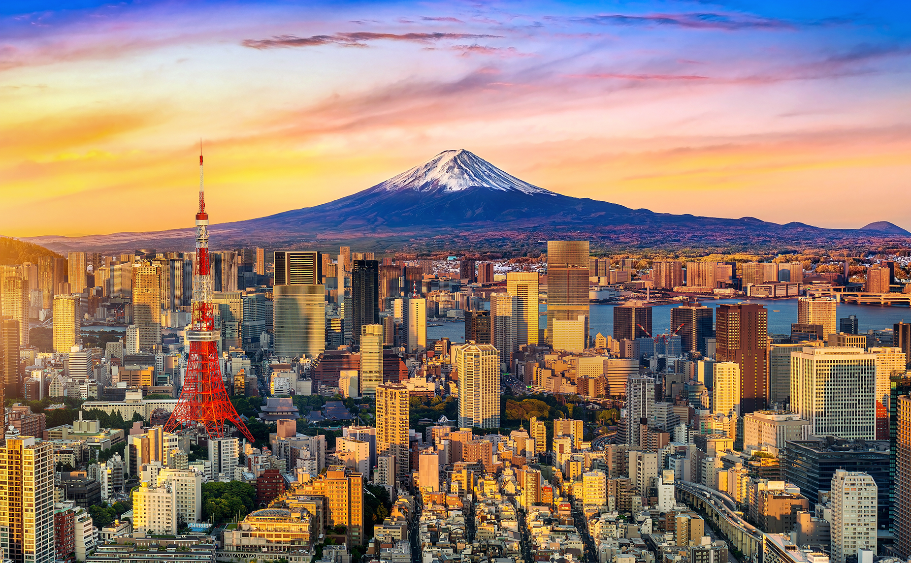 Tokyo Skyline Mt. Fuji