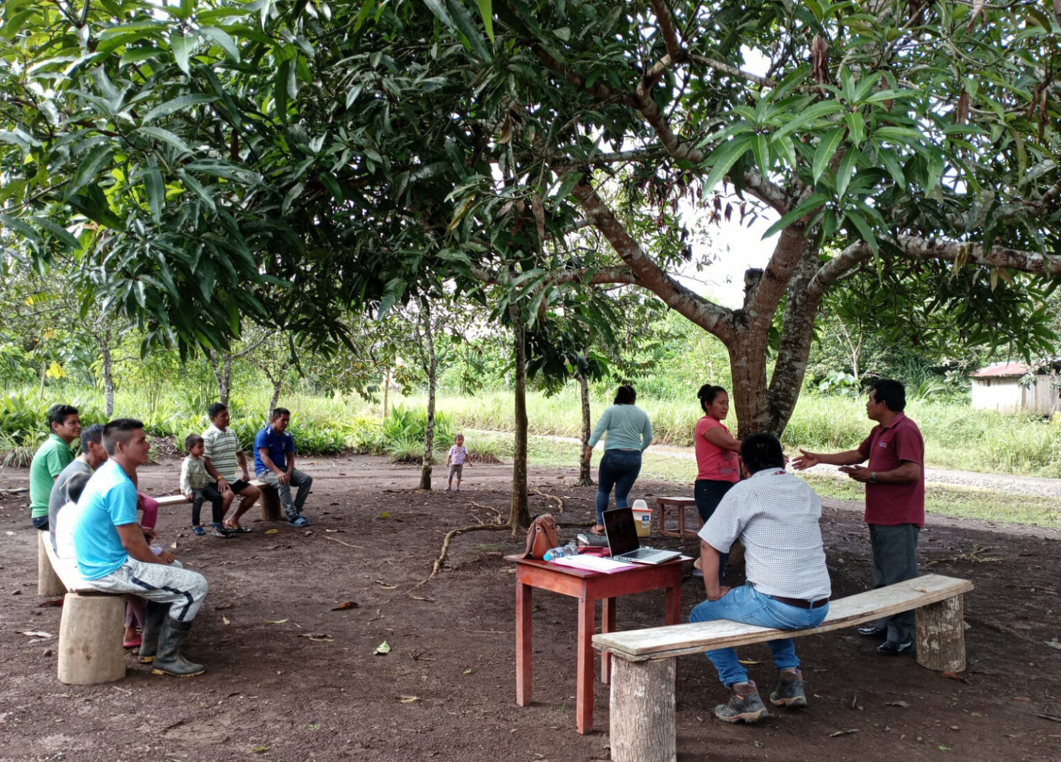 Group discussion under a tree canopy